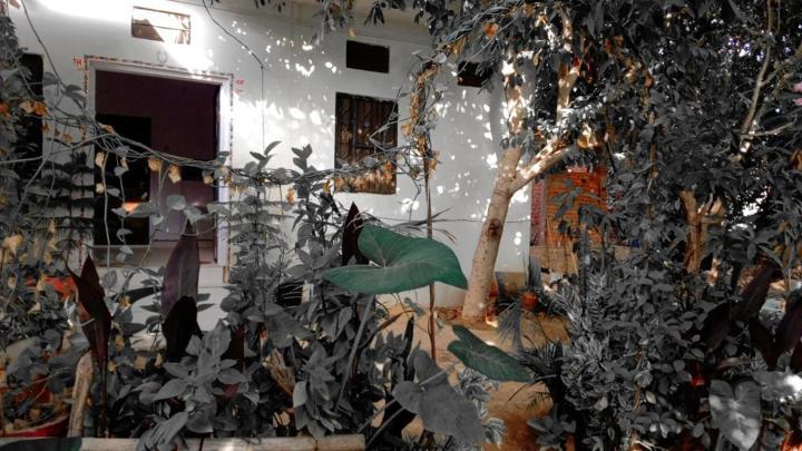 Hotel The Pushkar Flower Kültér fotó
